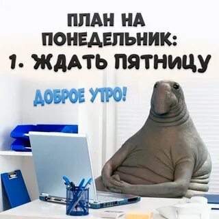 Жду пятницу