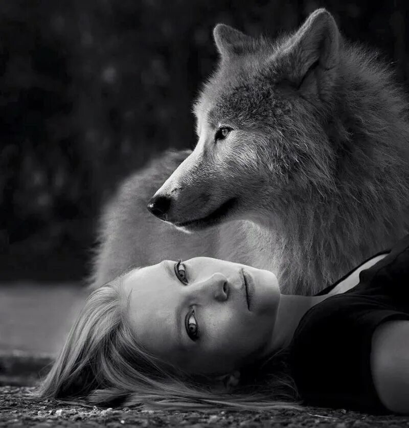 Песнь одинокая волчица. Девушка с волком. Волчица. Волчица и девушка. Волчица одиночка.