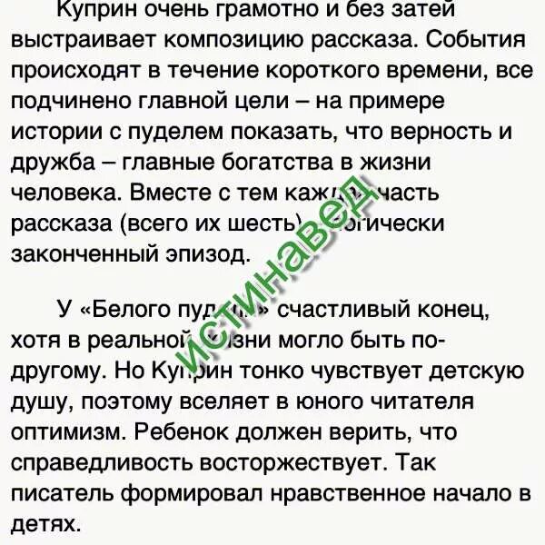 В каких эпизодах рассказа начинает звучать. Сочинение белый пудель. Куприн белый пудель сочинение. Сочинение по рассказу белый пудель. Тема дружбы в произведении белый пудель.