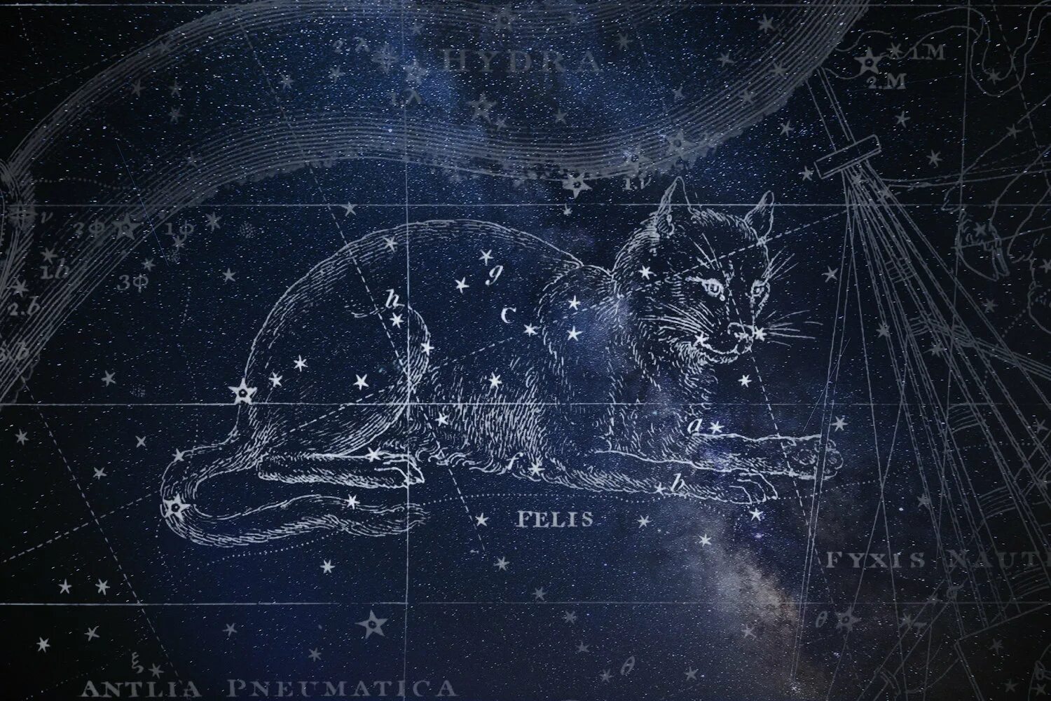 Созвездие Рысь звезды. Созвездие Фелис. Созвездие Рысь на карте звездного неба. Созвездие кошки Лаланда. Звезда рыси