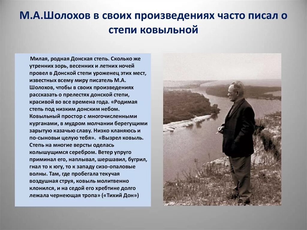 Степь в произведениях русских писателей. Шолохов в степи. Степь в произведениях Шолохова.