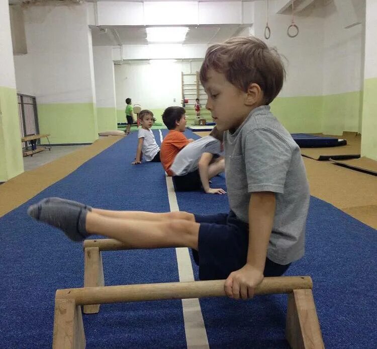 Спортивные секции. Секции для детей таганрог. Секции для детей таганрог. Секции для детей таганрог. Секции в школе.