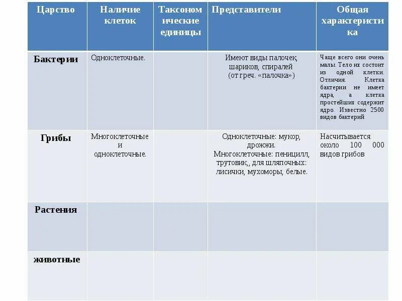 Различие царств. Характеристика основных Царств живых организмов. Царства таблица. Таблица царство и представители. Царства живой природы таблица 6 класс.