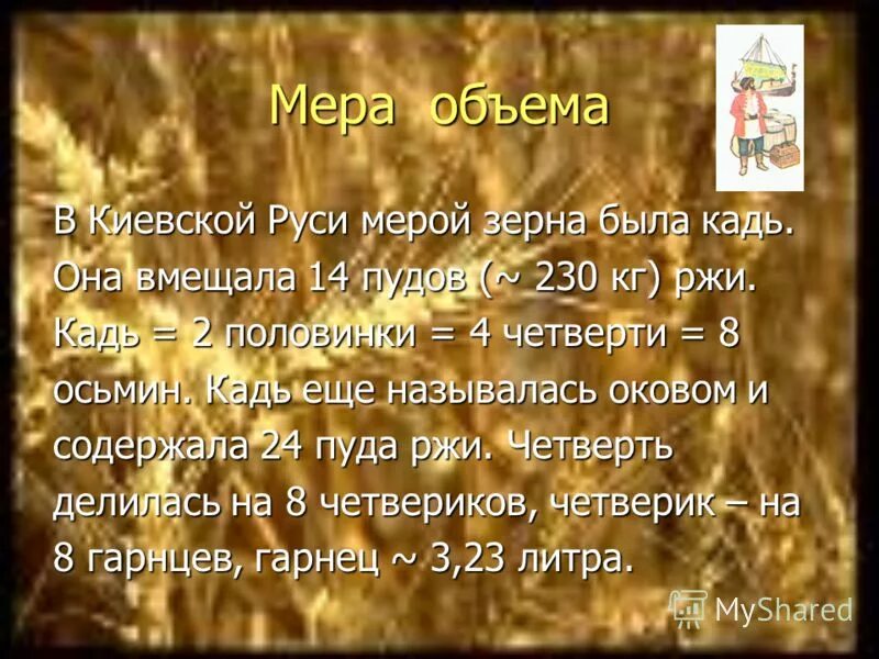 Мера зерна. Меры объема. Обозначения мер веса. Гомор мера веса. Меры сыпучих тел 18 век.