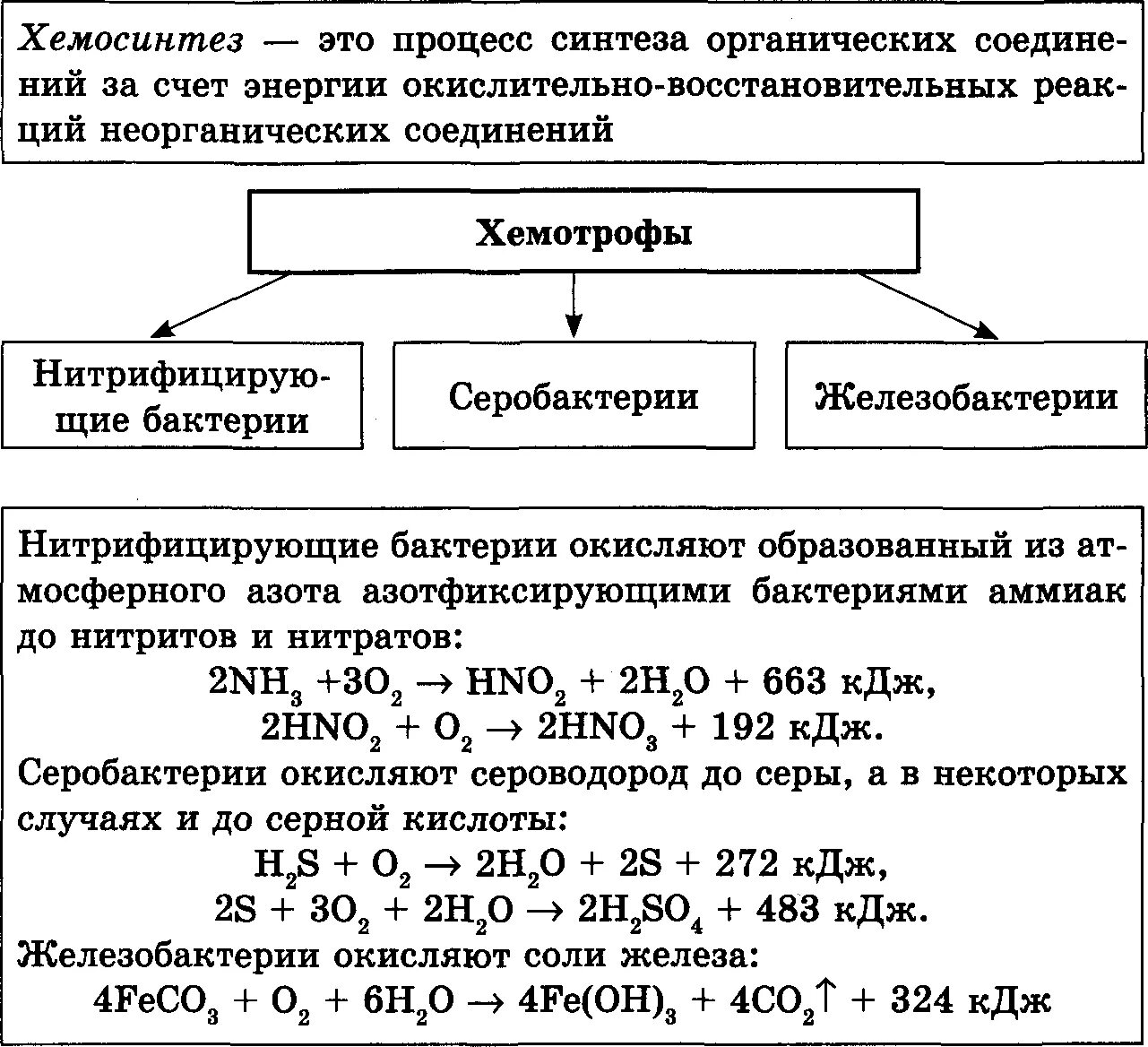 Схема характерных реакций. Таблица про бактерии хемосинтез 10 класс. Типы питания фотосинтез и хемосинтез. Хемосинтез группы бактерий. Хемосинтезирующие бактерии примеры бактерий.