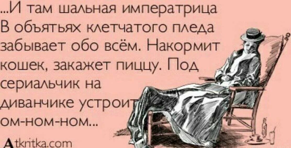 Плед знаешь знаешь. Шутки про плед. стих про шальную императрицу смешной. делать все что хочется.