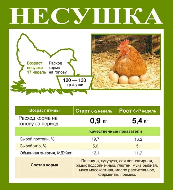 Кура рост. Состав комбикорма для кур несушек. Пропорции комбикорма для кур несушек. Комбикорм для несушек состав. Состав комбикорма рост для кур несушек.