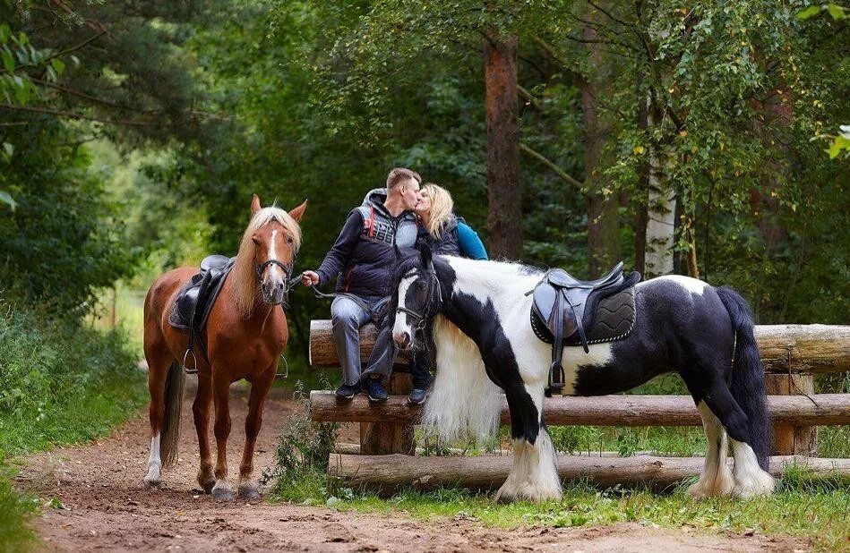 Horse moscow. Лошадь в парке. Лошади красивые с людьми. Парк лошадей. Прогулочный парк для лошадей.