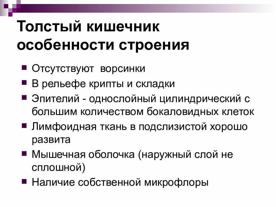 Толще значение. Особенности Толстого кишечника. Толстый кишечник особенности строения. Особенности строения толстой кишки. Особенности строения Толстого кишечника.