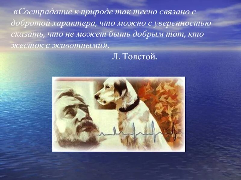 Пример доброго отношения к животным из литературы. Произведения о милосердии. произведение о сострадание. сострадание к животным так тесно связано с добротой характера. произведения о милосердии 4 класс.