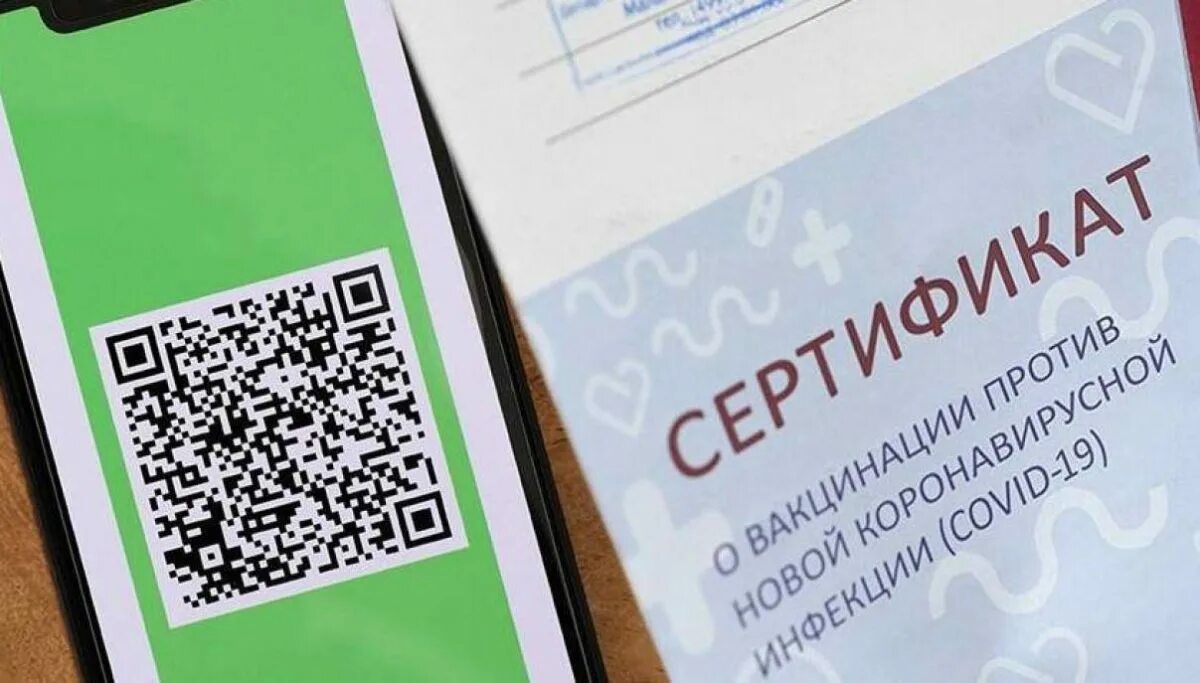 QR код сертификата вакцинации. Введение QR кодов. QR О вакцинации.