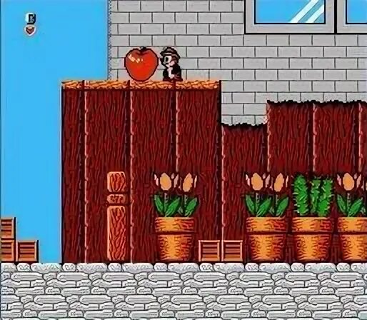 Rescue nes. Чип и дейл денди. чип и дейл игра на денди. денди на чипах. chip &#039;n dale rescue rangers денди.