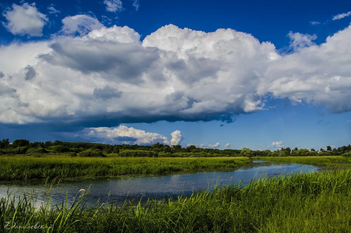 река остер в чернигове. рославль смоленская область река. река остер смоленской области исток. рославль река. рославль река.