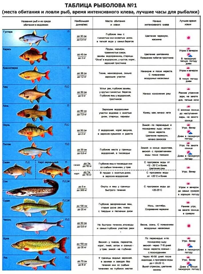 Таблица рыбалки. Виды рыб. Рыбы таблица. Клев рыбы.