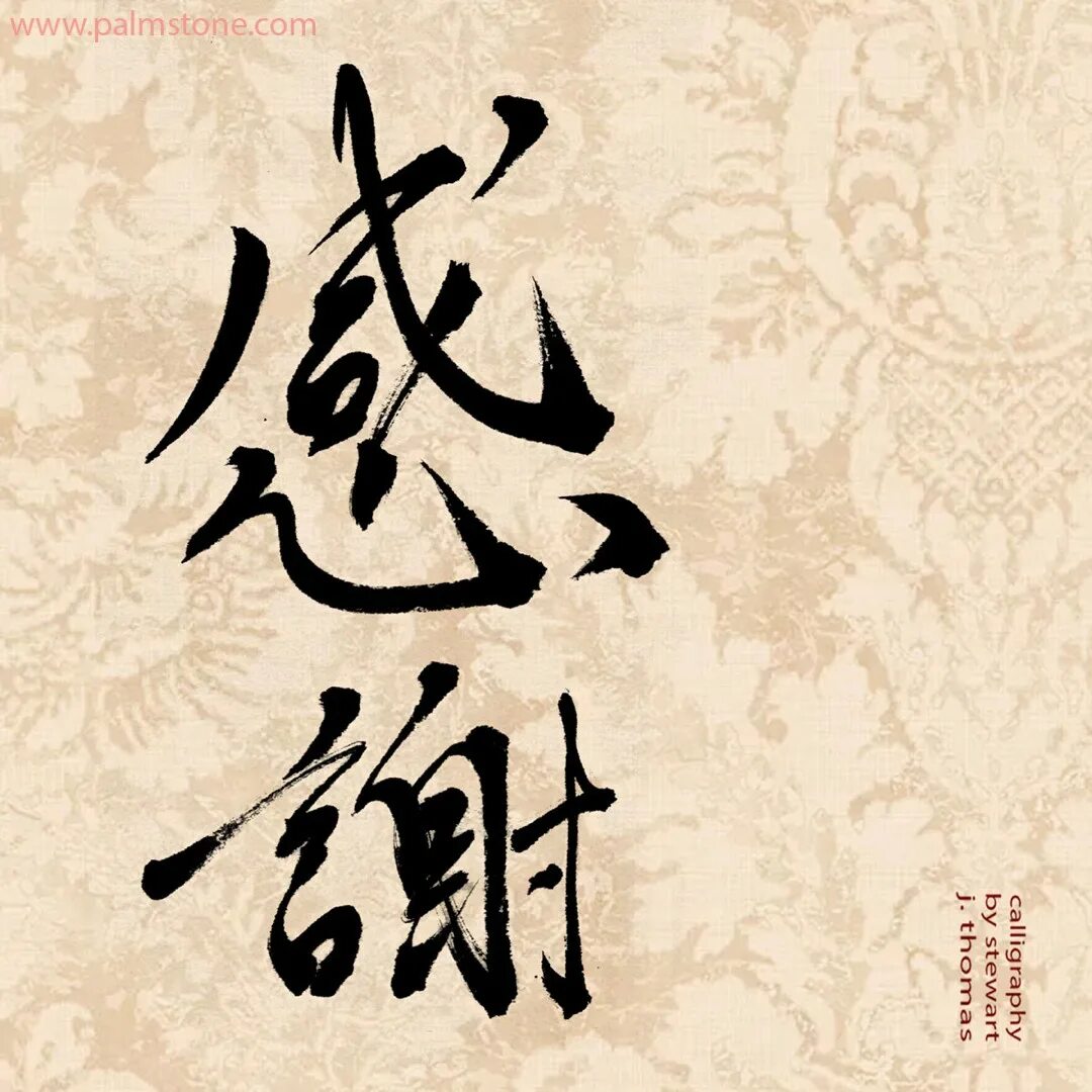 Как будет на китайском спасибо. Китайская каллиграфия 谢谢. 谢谢 иероглиф. Иероглиф спасибо на китайском. Иероглиф каллиграфия 靈.