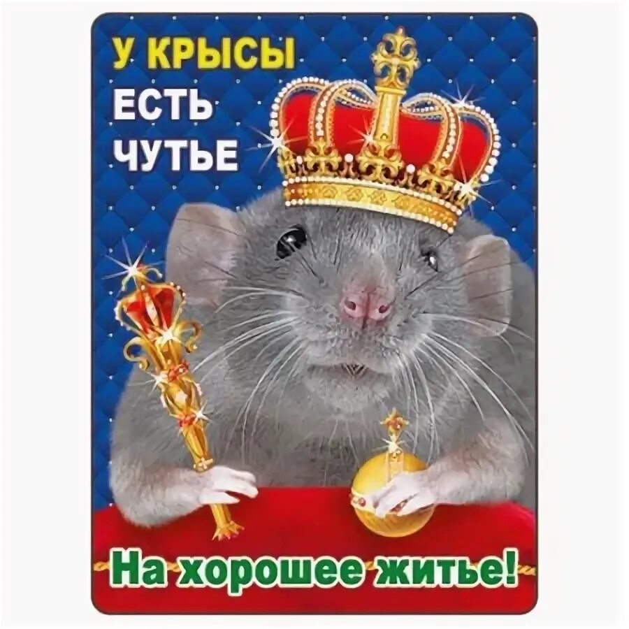 Сергей сюхин иллюстрации писахова. Привет картинки прикольные. Преподобный андрей рублев иконописец. Хорошее житье. Поздравления с крысами.