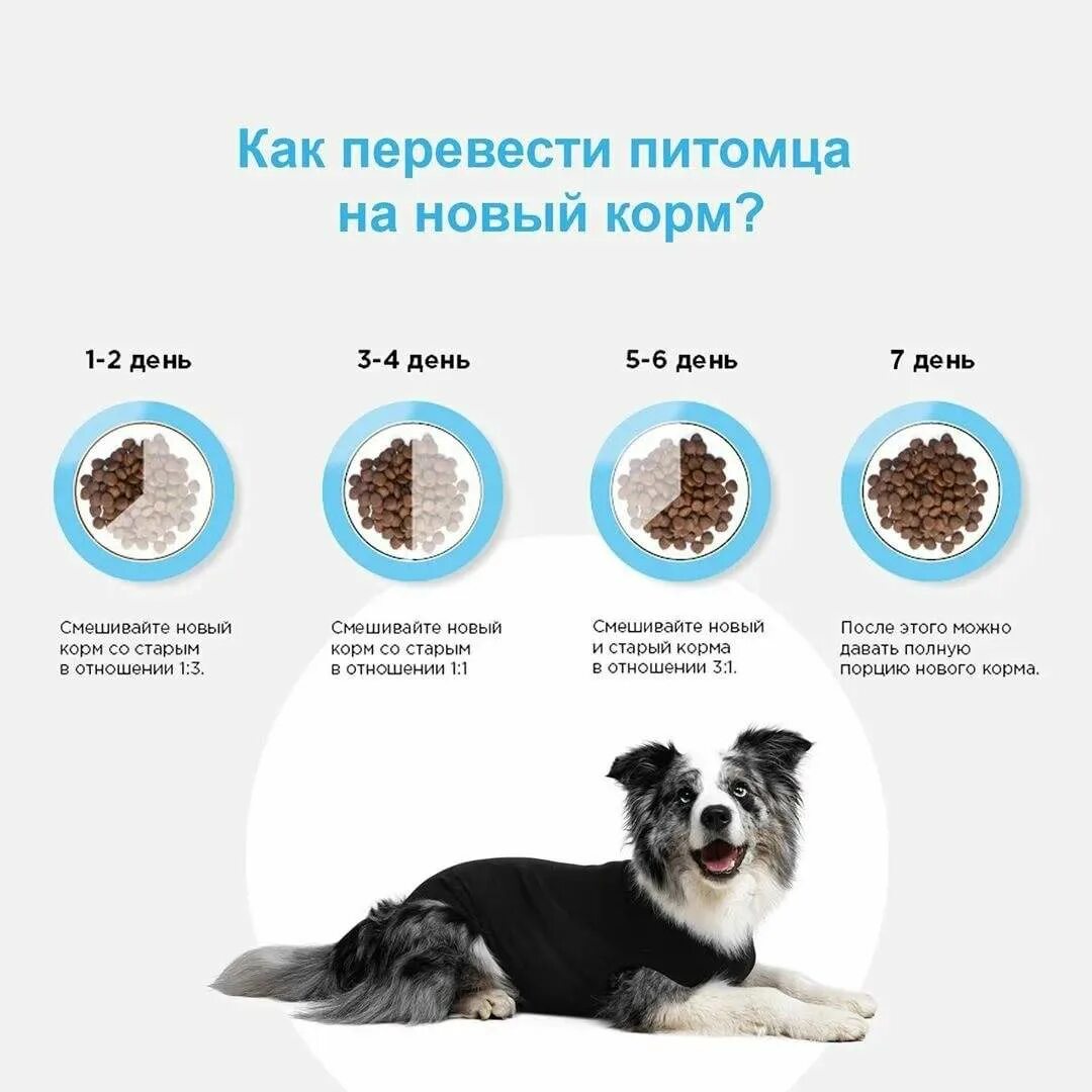 Подобрать корм. Схема ввода нового корма собаке. схема перевода с натуралки на сухой корм. схема перевода собаки на другой корм. схема перевода с одного сухого корма на другой.