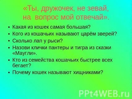 Дружочек