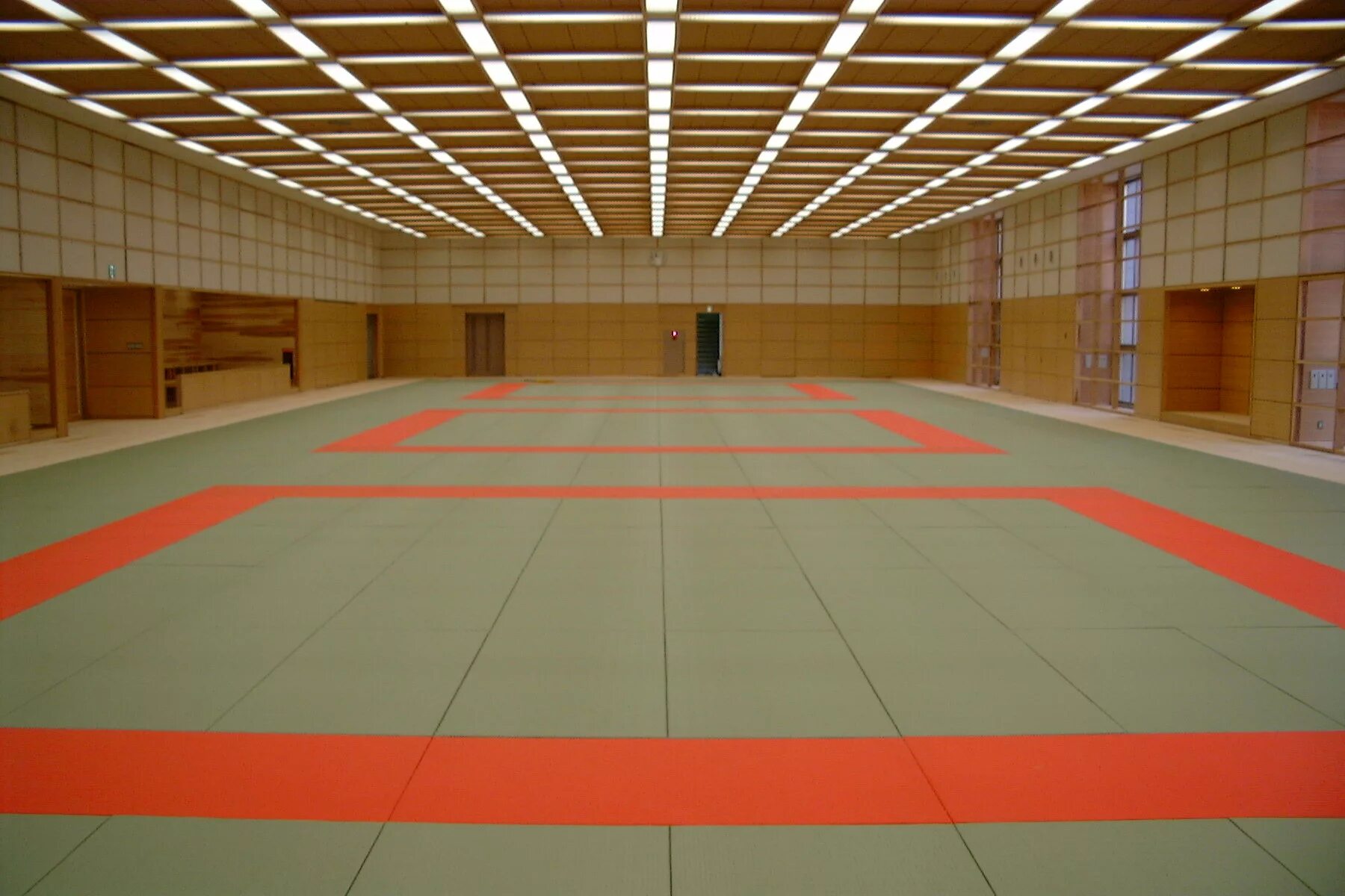 A1790/10008 татами 6,3*50,2. татами для дзюдо 2х1. борцовский зал с татами. татами для дзюдо. татами judo.