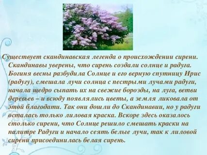 Происхождение названий растений