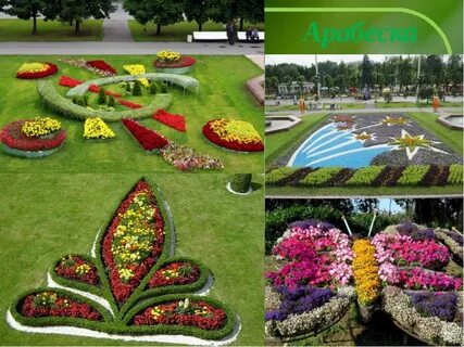 День цветов план