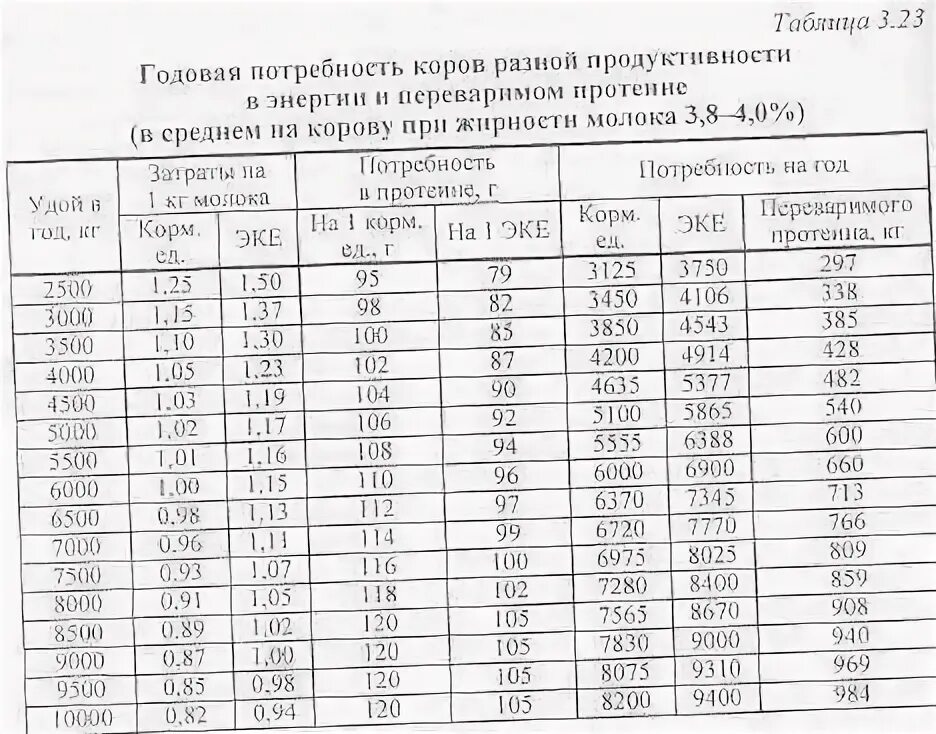 Таблица стельности коров. Таблица осеменения и отела коров. Таблица осеменения и отела коров даты. Календарь отела коров по дате осеменения таблица. Срок беременности у коров