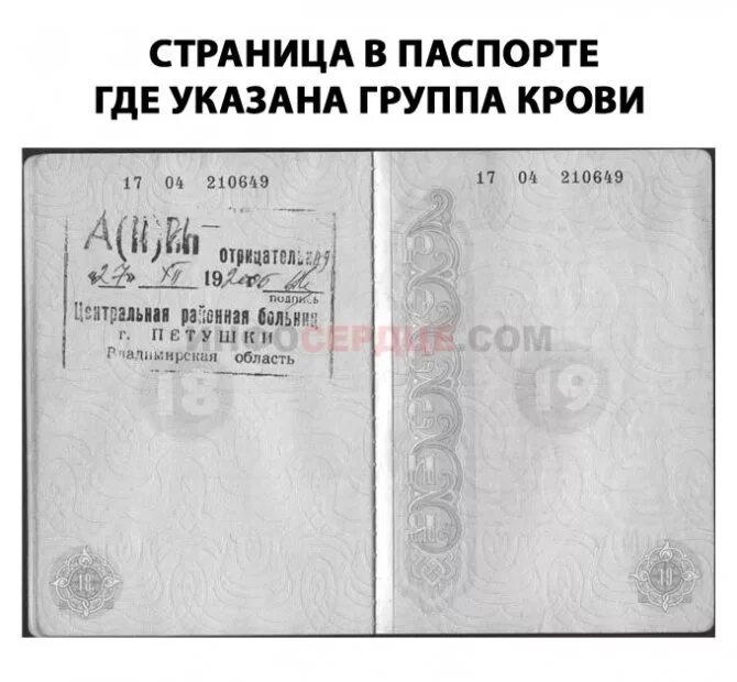 В каких документах можно узнать свою группу крови. Где узнать группу крови в документах. Военный билет указывают группу крови