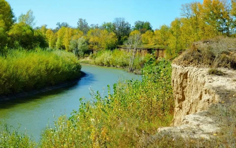 Алей 2. Река алей в Рубцовске. Река алей Алтайский край. Река алей Поспелиха. Река аллея Алтайский край.