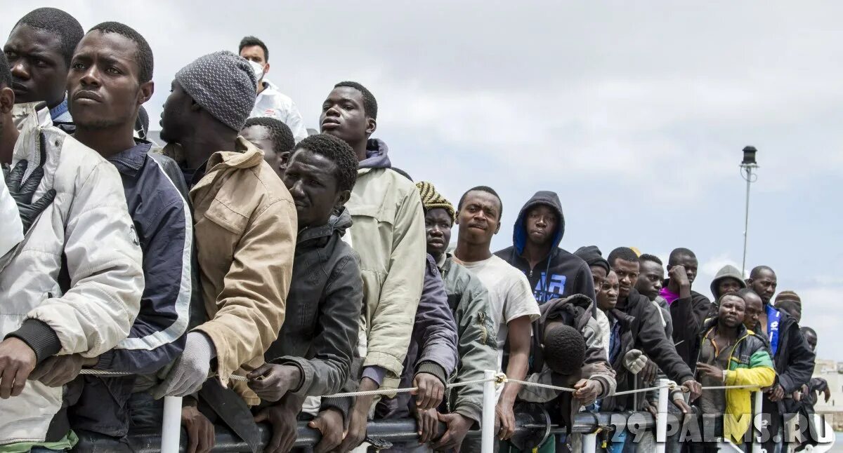 Миграция негров. Мигранты африки. Негры беженцы. Расизм евреев. Чернокожие россияне.