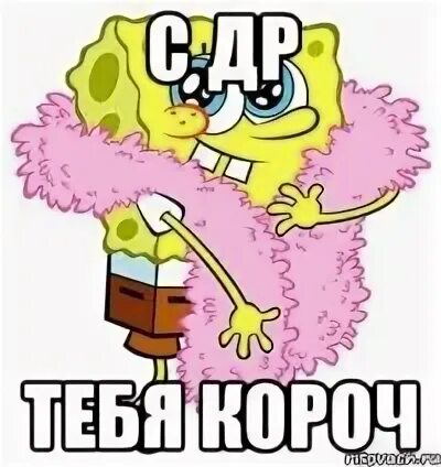 С др короче