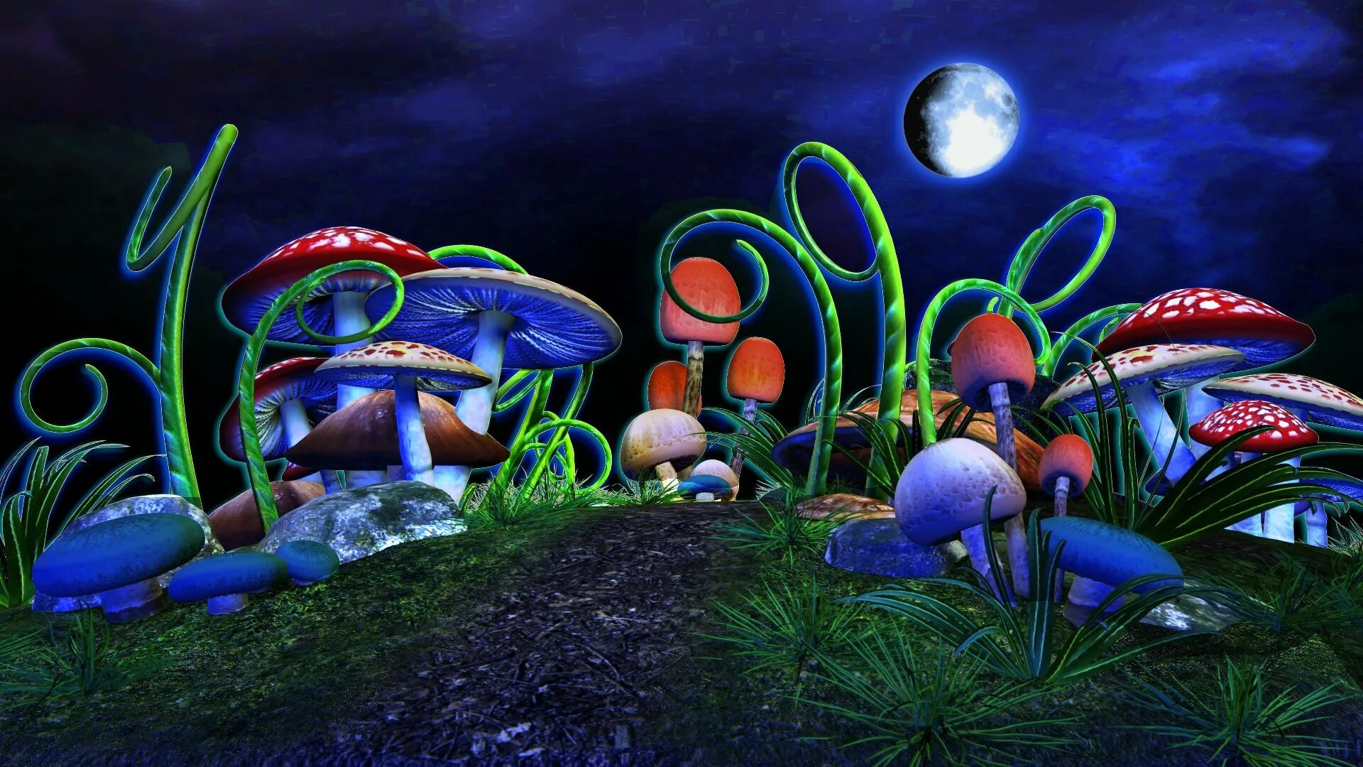 Люминесцентные грибы. Mushroom oasis вики. Волшебные грибы. Зангартопь арт. Mushroom oasis арты.