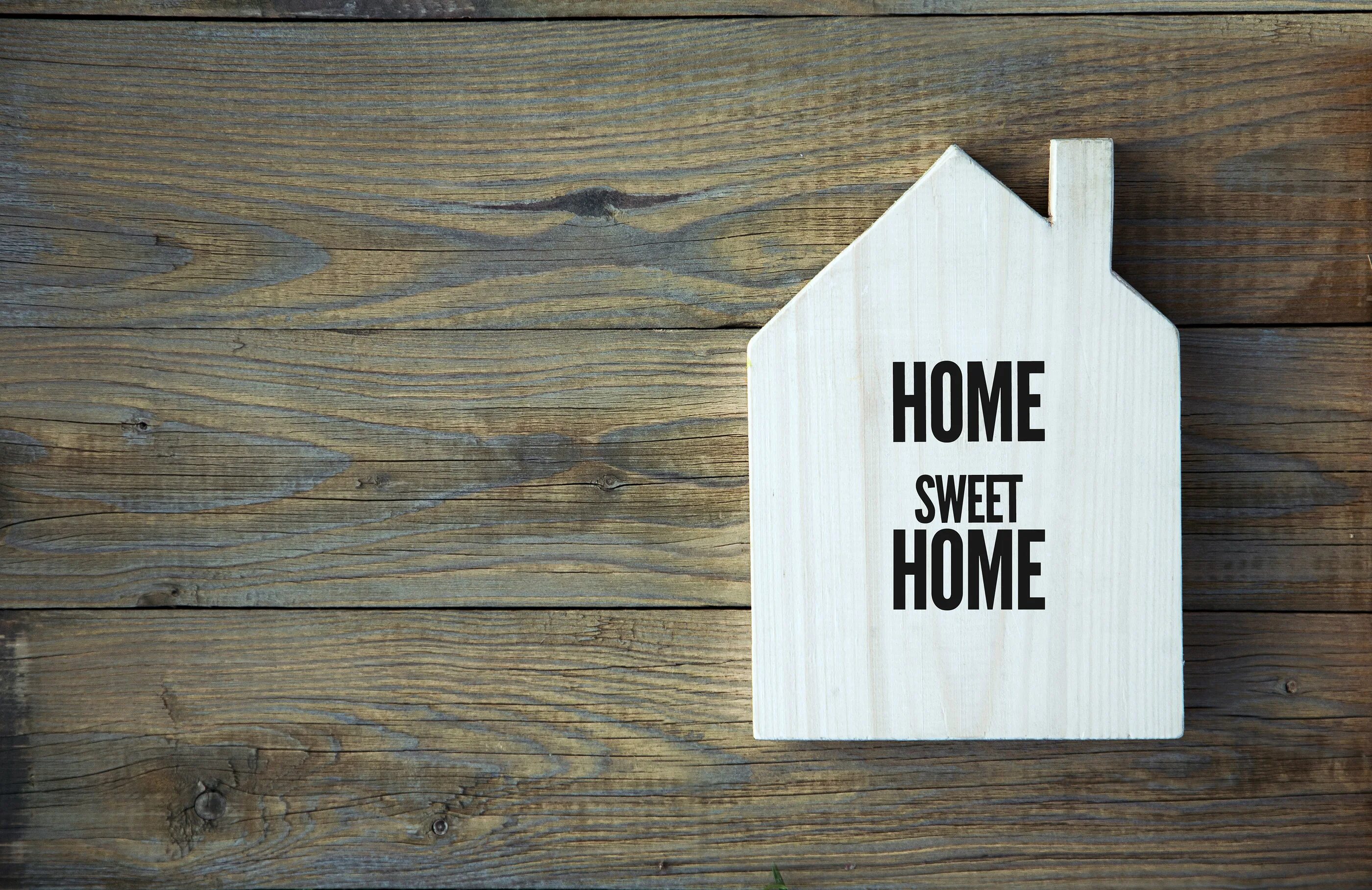 How are you feeling today. Feel at home. Feel at home. Do you feel at home. Do you feel at home.