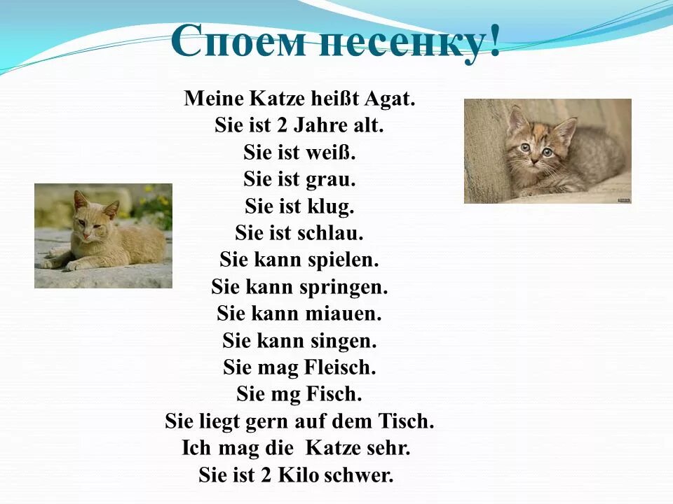 Животных на немецком языке. Стих про животных на немецком языке. Стихи на немецком языке. Песня на немецком языке текст.