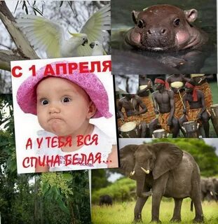 Чей день