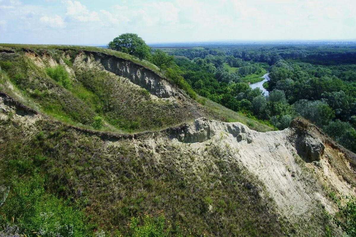 Щербаковская балка волжская швейцария. Чем наиболее известна волгоградская область. Чем наиболее известна волгоградская область. Природный парк меловые горы волгоградская область. Донской природный парк меловые горы.