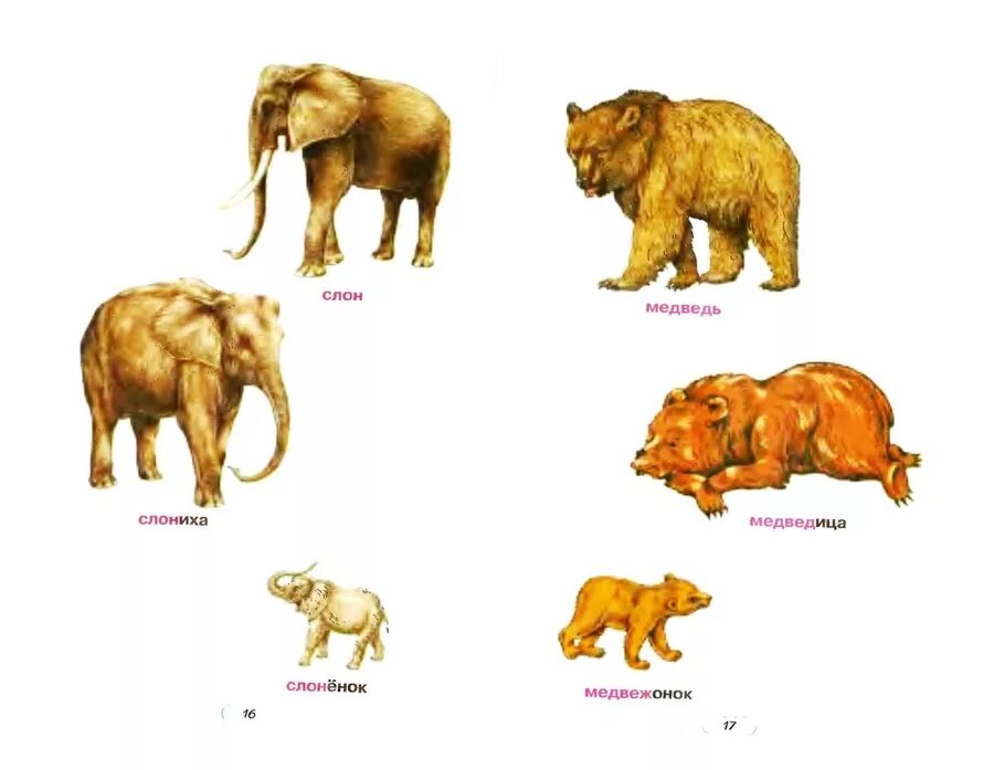 картинки животных для малышей. животное детям ребенок мама папа. семья домашние животные для дошкольников. животное детям ребенок мама папа. семья животных для детей с названиями.