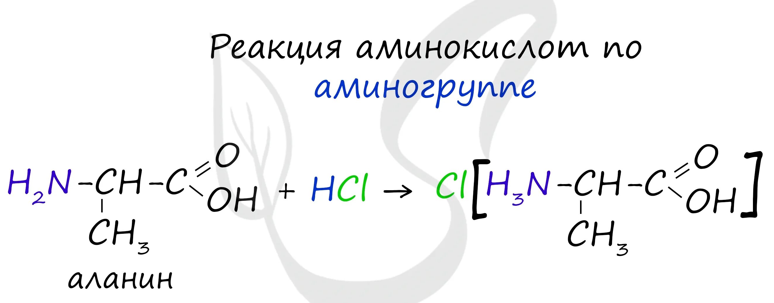 Аланин кислота реакция. Аминокислоты с металлами. Аланин хлороводородная кислота. Реакция аланина с соляной кислотой. Аланин и соляная кислота.