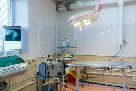 Телефон клиники айболит
