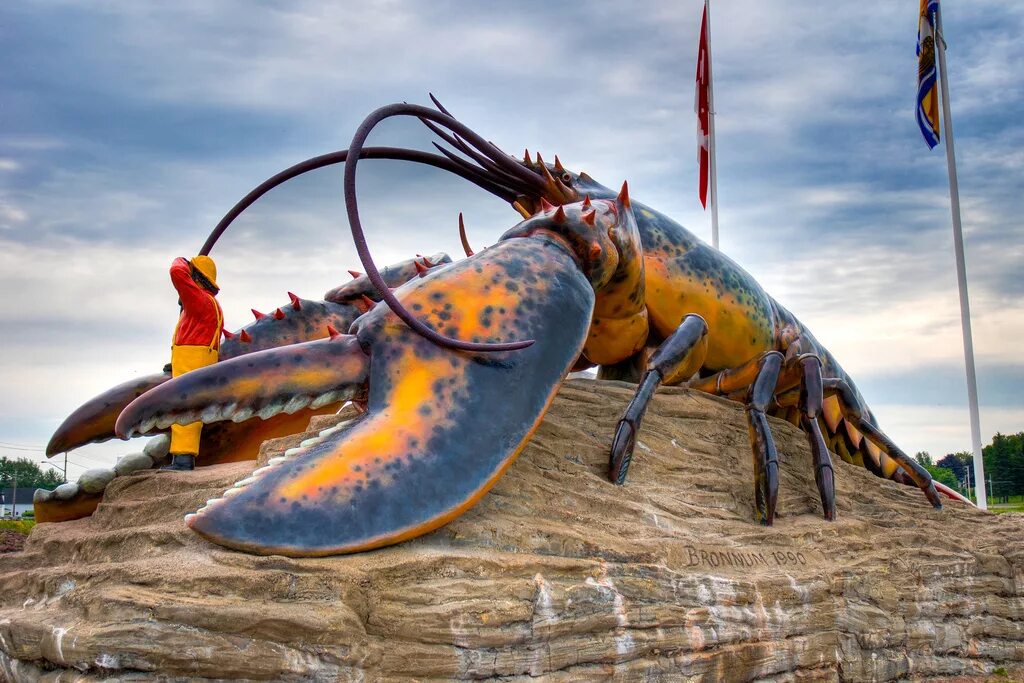 Гигантский Омар. Омар великан. Giant Lobster. Американский Омар.