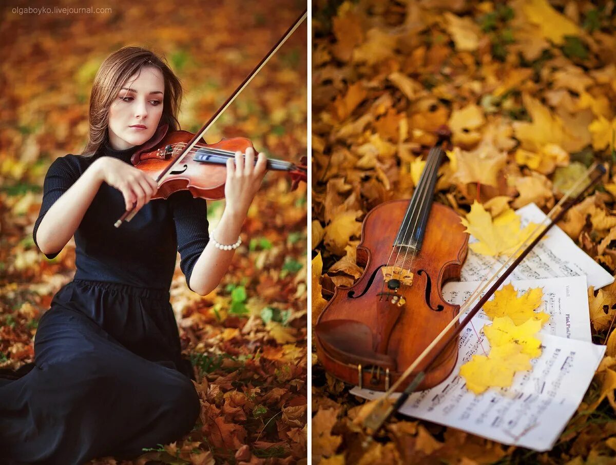 Осенняя скрипка. Осенний скрипач. Скрипка осень. Осень девушка со скрипкой. Скрипка осенью