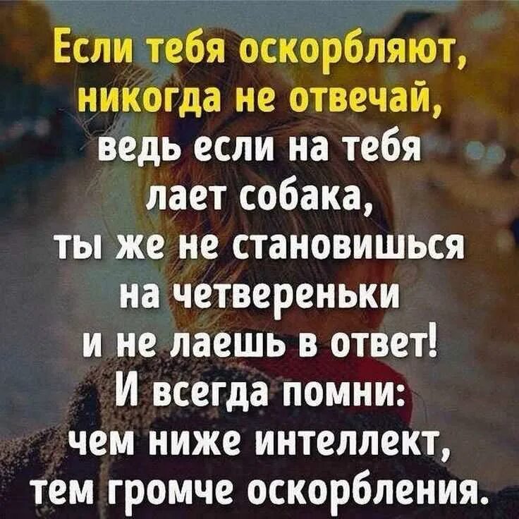 Что ответить на оскорбление