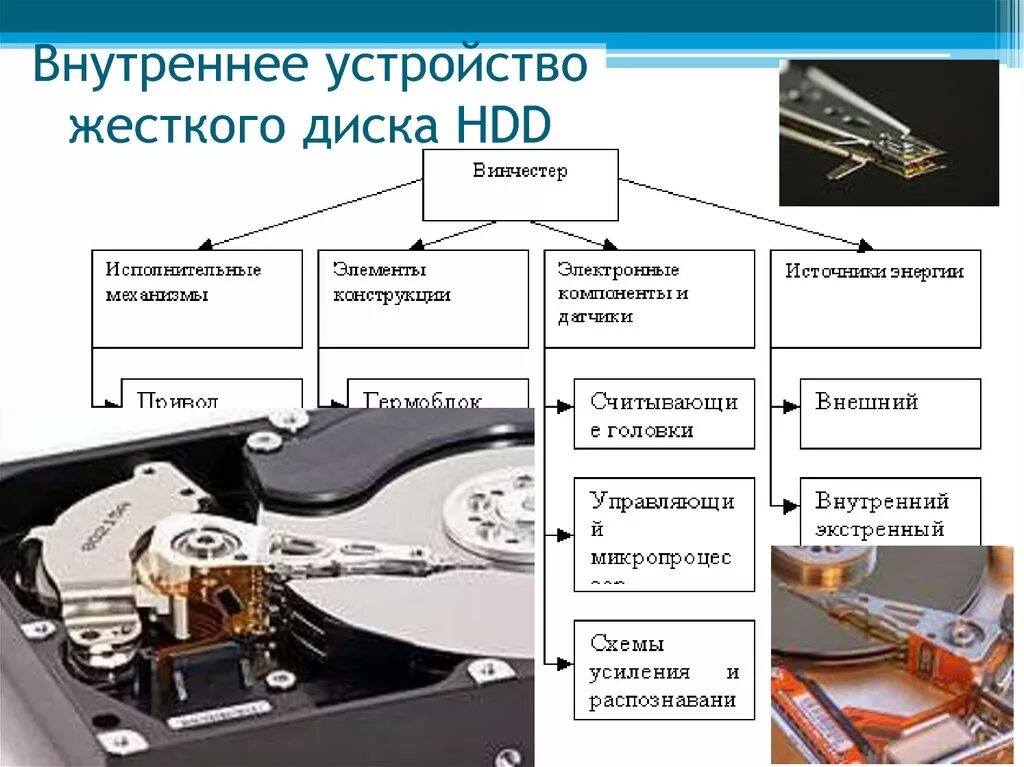 Внутреннее устройство организации. Устройство жесткого диска. Жесткий диск составные части. Схема жесткий диск HHD. Внутреннее устройство HDD.