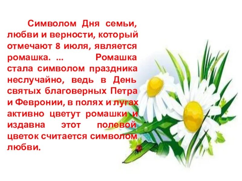 День семьи символ ромашка. День Петра и Февронии Ромашка символ. Символ Петра и Февронии Ромашка. Ромашка символ семьи. Символ праздника день семьи любви и верности.