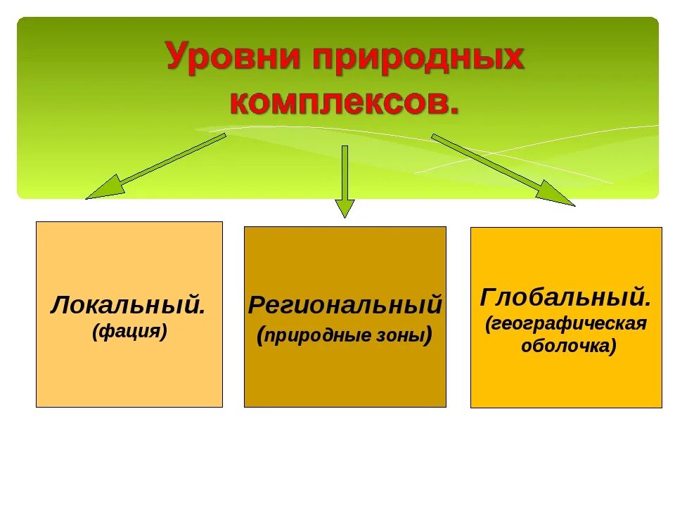 Выберите локальный природный комплекс. Разнообразие природных комплексов России. Природно территориальный комплекс региональный. Региональные природные комплексы. Природно-территориальные комплексы России.