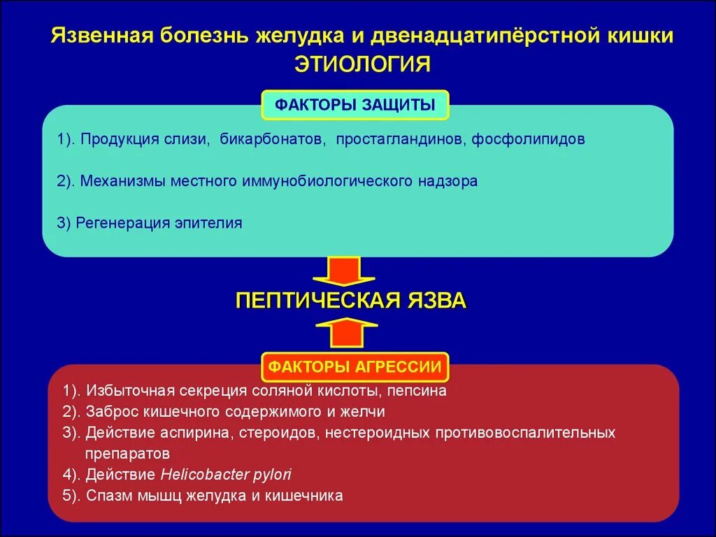 Язвенная болезнь желудка патофизиология. Язвенная болезнь желудка патфиз. Язвенная болезнь патофизиология. Механизм развития язвенной болезни.