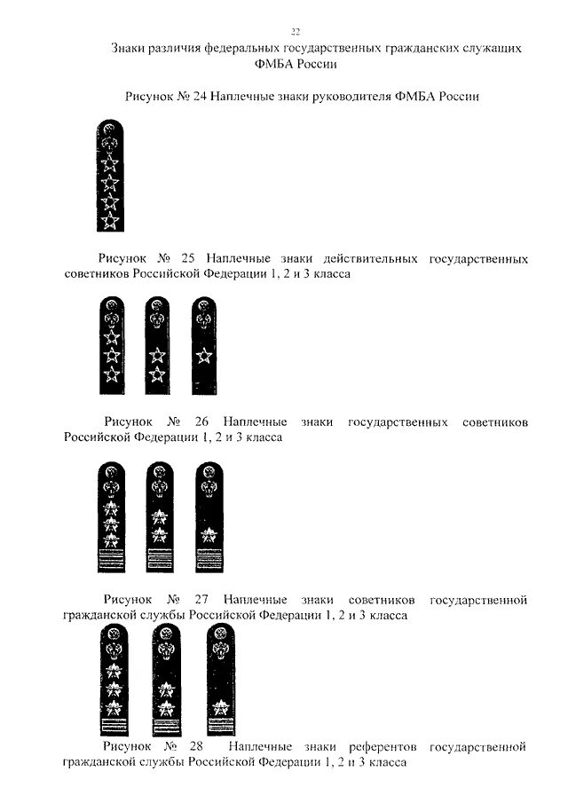 Чины ФССП погоны. Чины государственной гражданской службы РФ погоны. Погоны ГГС ФССП референт 2 класса. Референт ГГС 1 класса погоны.