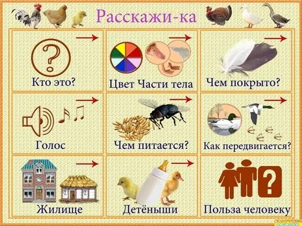 Интересное расскажи ка