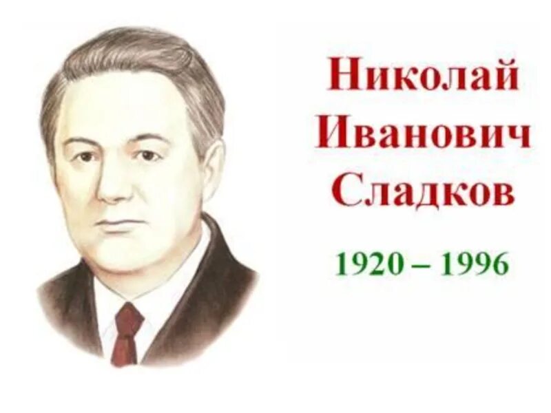 6 писателей для детей. Н Сладков портрет писателя для детей. Портрет Николая Сладкова писателя.