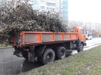 Вывоз кгм
