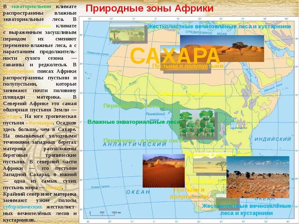Карта природных зон африки 7 класс. Карта природных зон африки. Природная зона тропического пояса африки. Карта климатических поясов африки. Природные зоны африки 7 класс география карта.